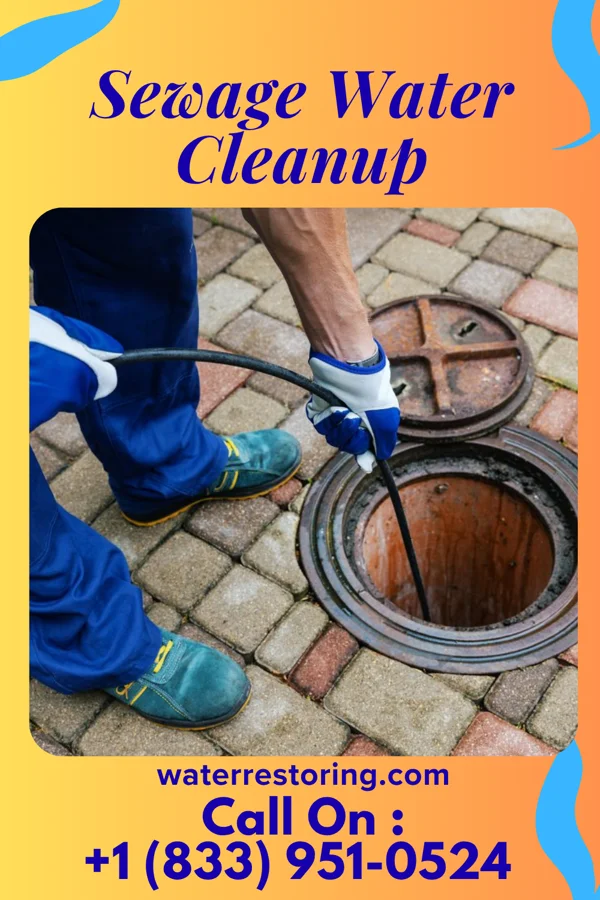 Sewage Water Cleanup in St. Paul, TX