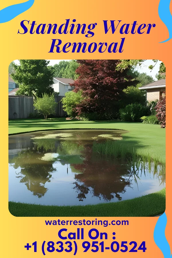 Standing Water Removal in St. Paul, TX